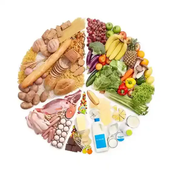 Food Subliment